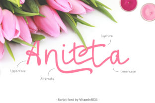 Anitta Script: Where Typographic Elegance Meets Everyday Utility